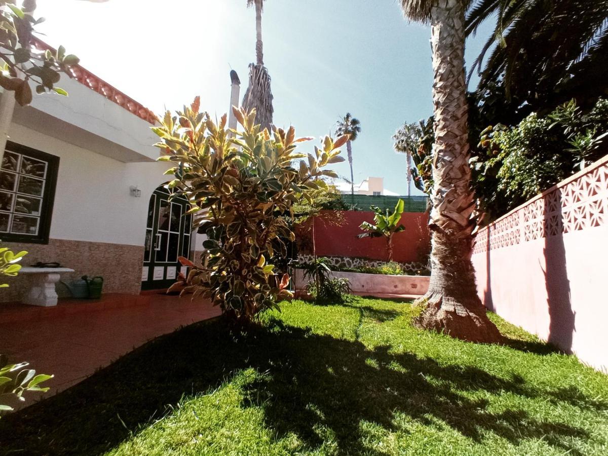 Finca Los Pajaritos Villa Icod De Los Vinos Esterno foto