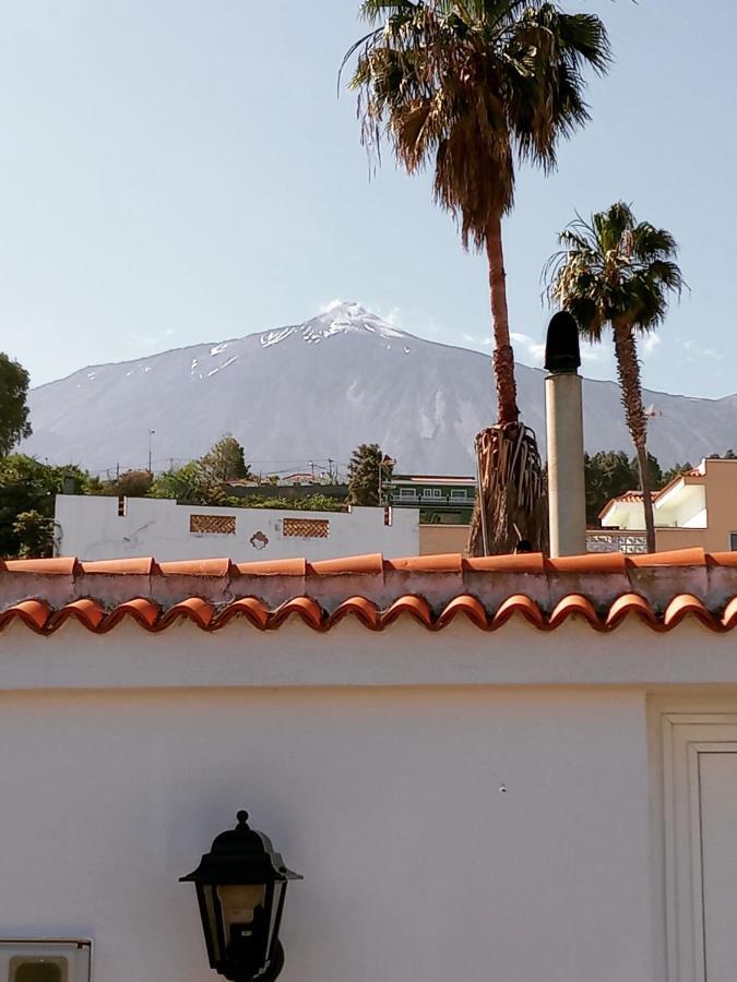 Finca Los Pajaritos Villa Icod De Los Vinos Esterno foto